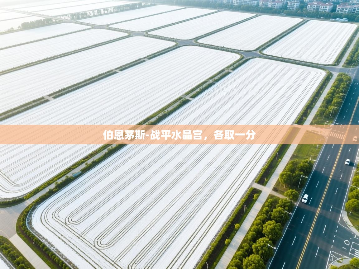 伯恩茅斯-战平水晶宫，各取一分  第1张