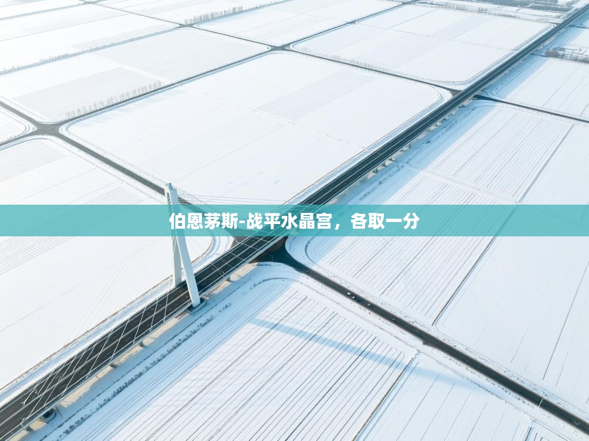 伯恩茅斯-战平水晶宫，各取一分  第2张